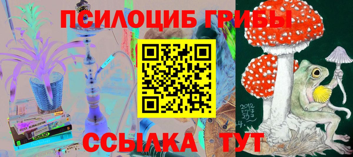 Электросталь  Галлюциногенные грибы Magic Shrooms  Вход с VPN 