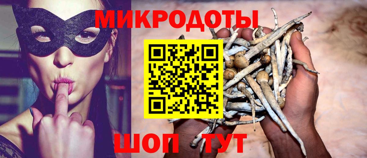 Псилоцибиновые грибы прущие грибы Электросталь